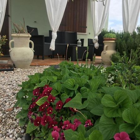 Appartamento Sofia 拉齐塞 外观 照片